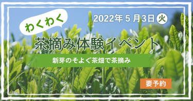 【海田園黒坂製茶】ワクワク茶摘み体験イベント開催